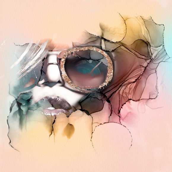 Meet your Posher, Robin - Picture 1 of 1